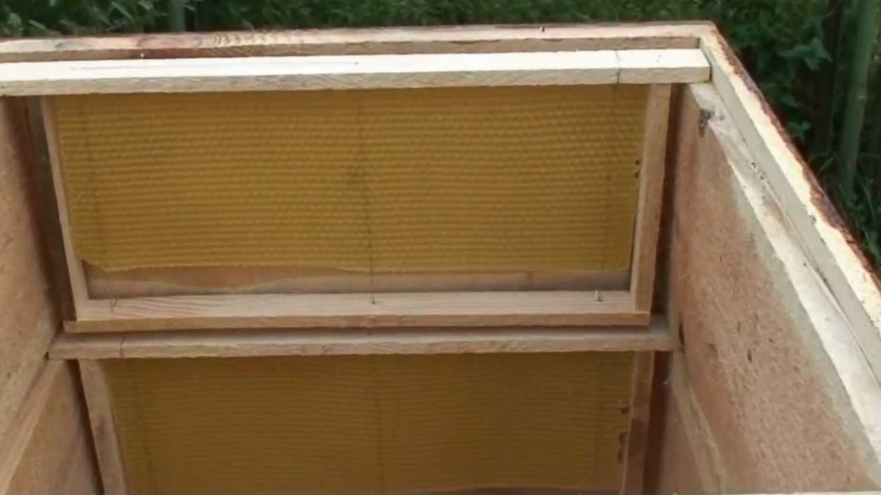 Pasieka, ule i takie tam...