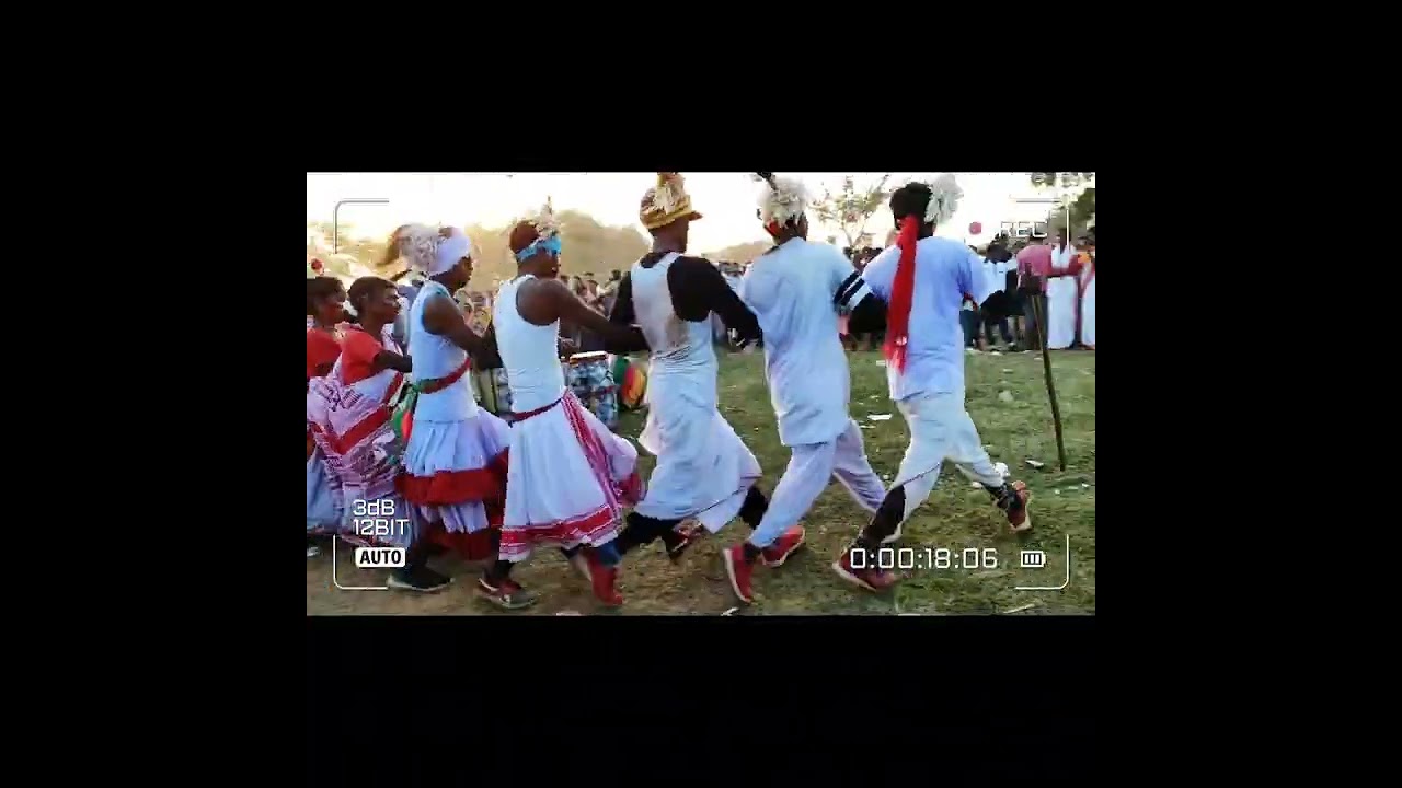 ||Sarhul video 2022🇦🇹🌾||