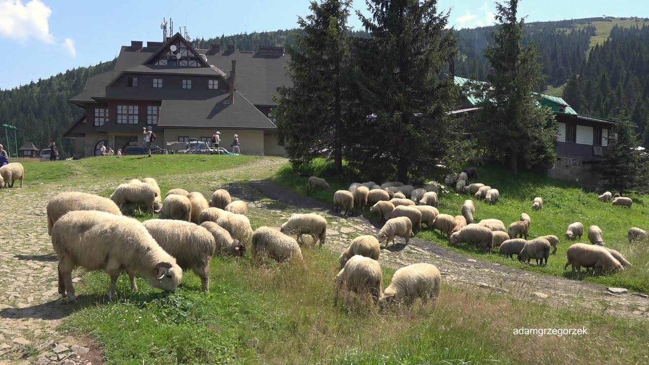 Z Żabnicy na Pilsko