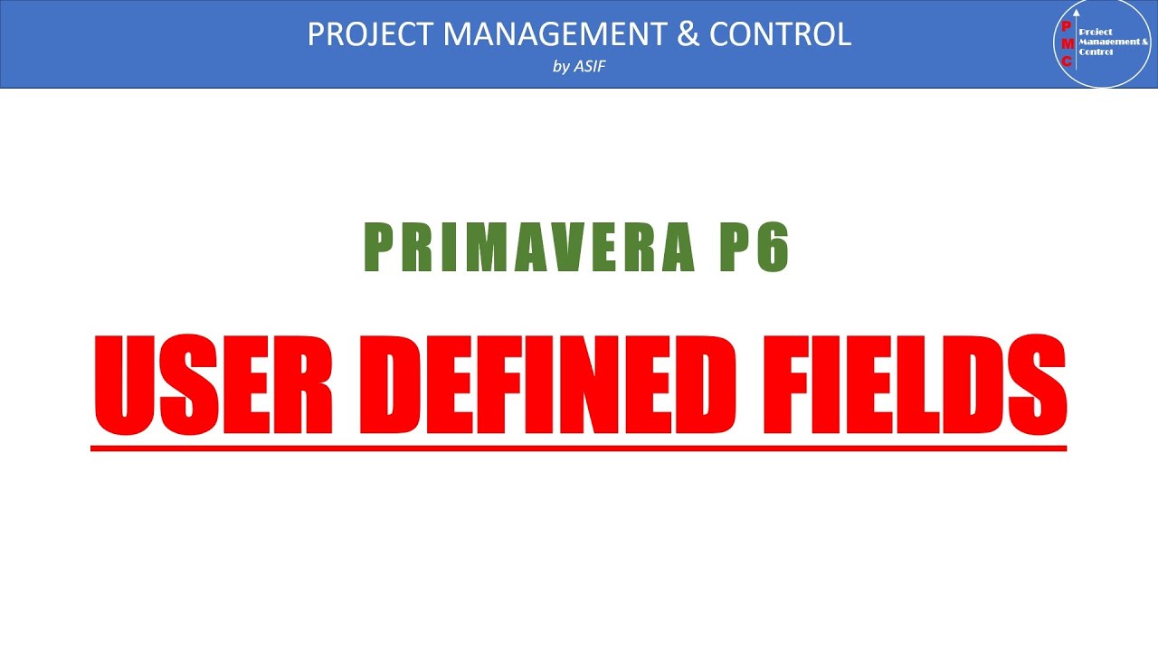 User Defined Fields in Primavera