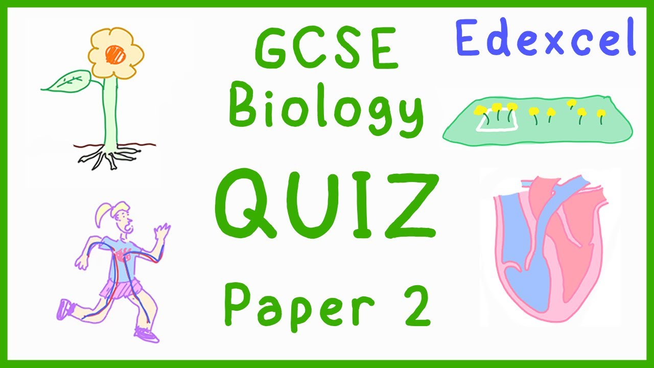 Тест GCSE по биологии 2 (Edexcel)
