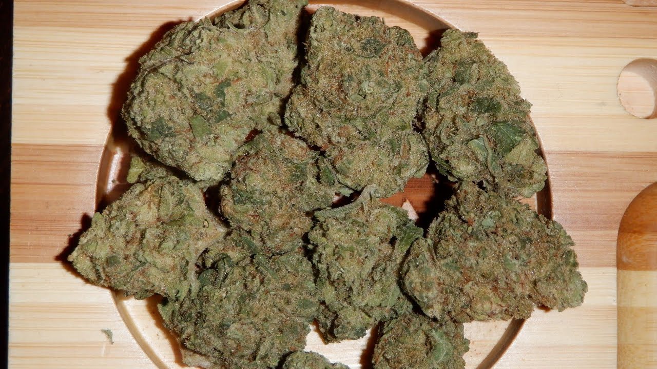 Strain Review Sky Pilot By Tantalus Labs