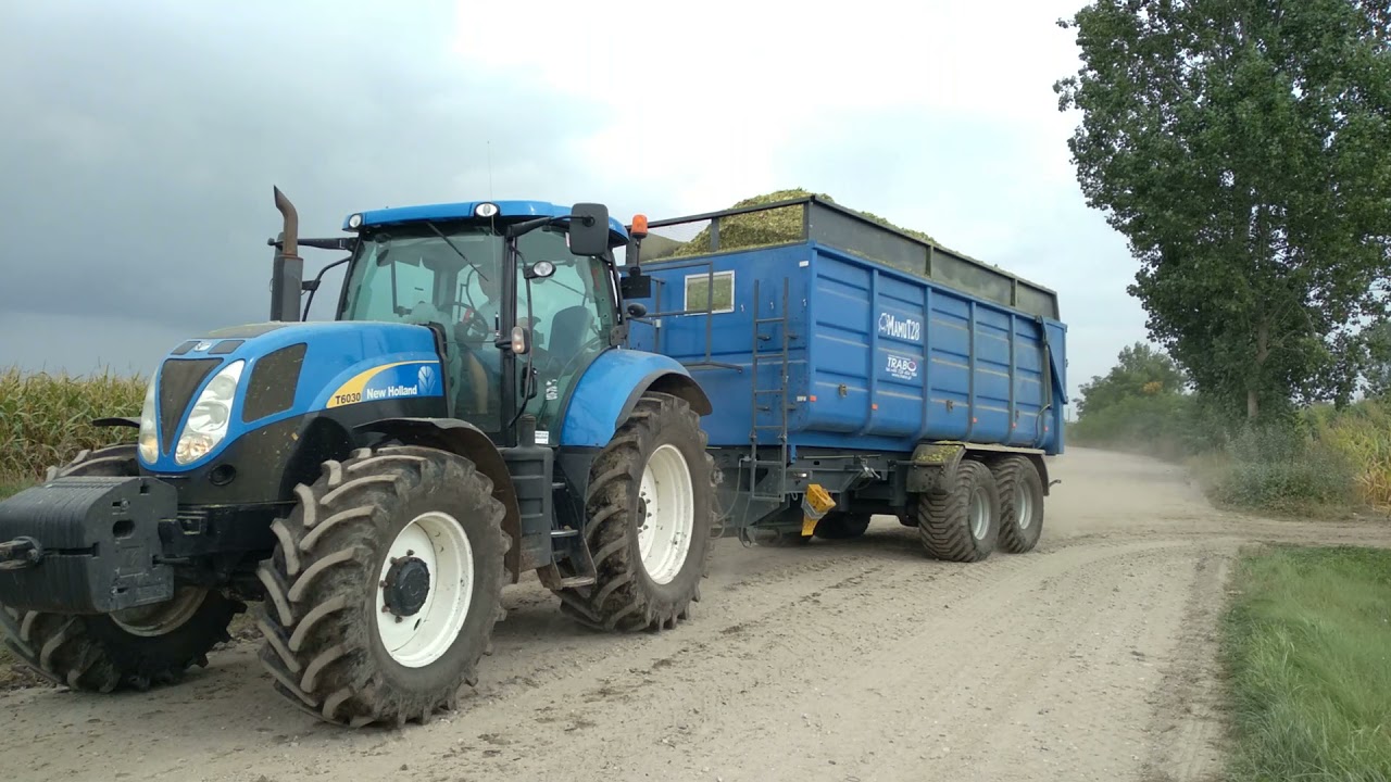 Kukurydza 2021 Gr Zalewscy