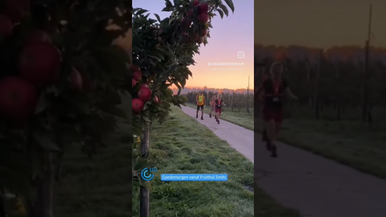 De wandelaars zijn weer in het licht aan het wandelen
