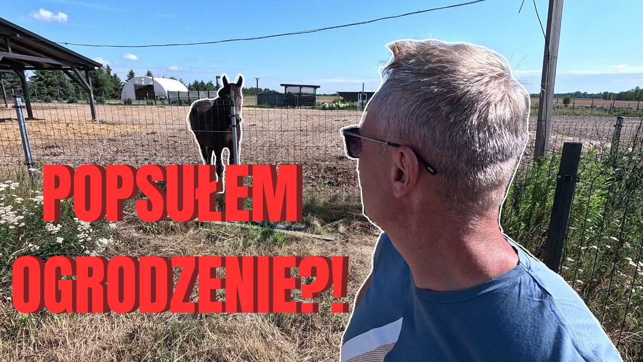 ЦЕЛЫЙ ДЕНЬ РАБОТЫ, И ЧТО? &mdash; И ВСЁ ЗРЯ :((