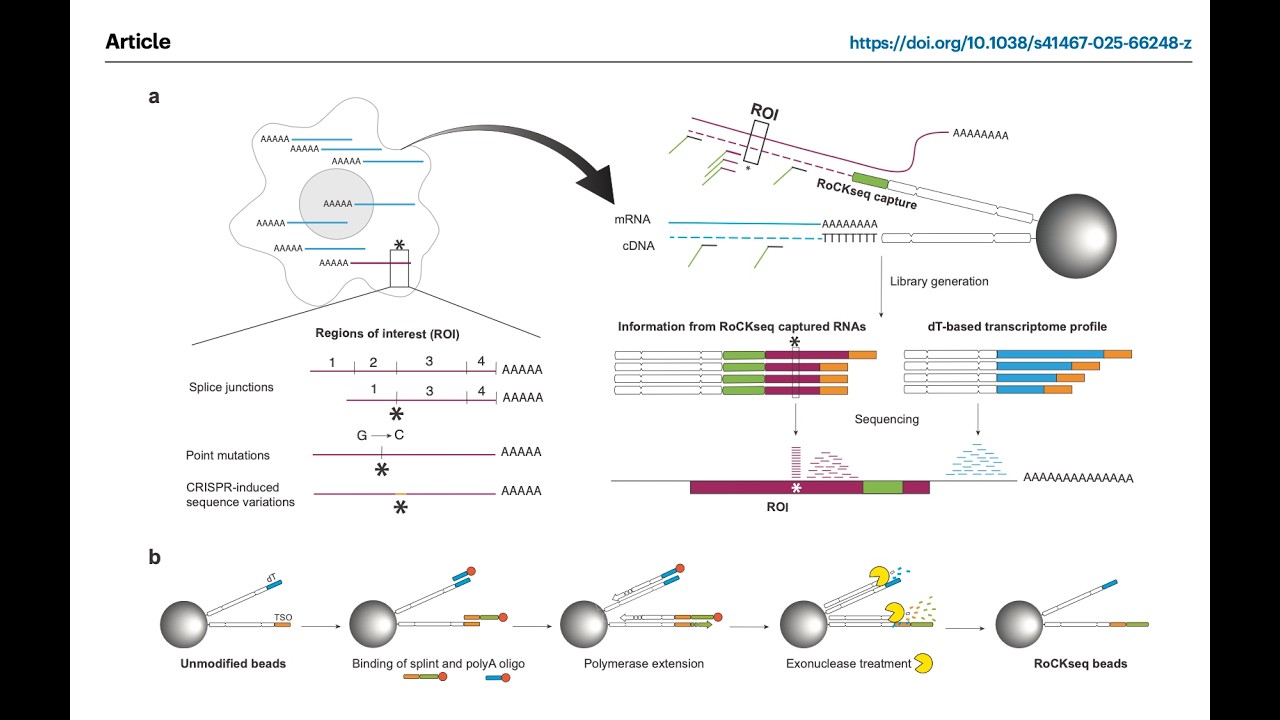 RoCK ROI and DeepRare AI Identify Elusive Molecular Signatures of Cancer