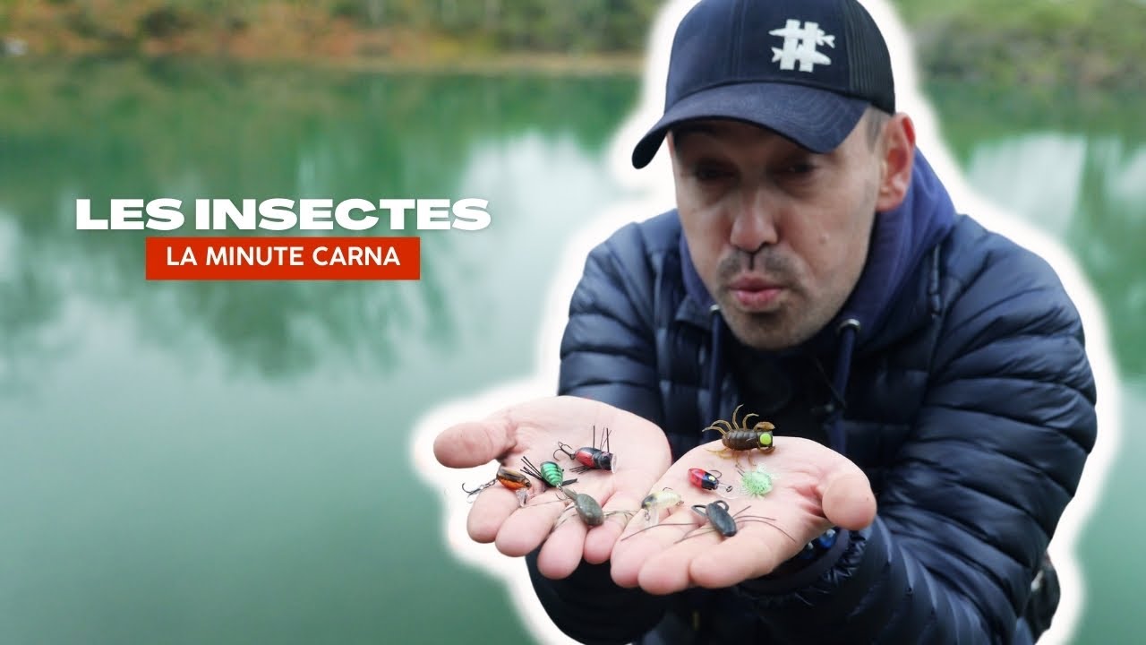 Tuto Pêche : les leurres insectes - la Minute Carna