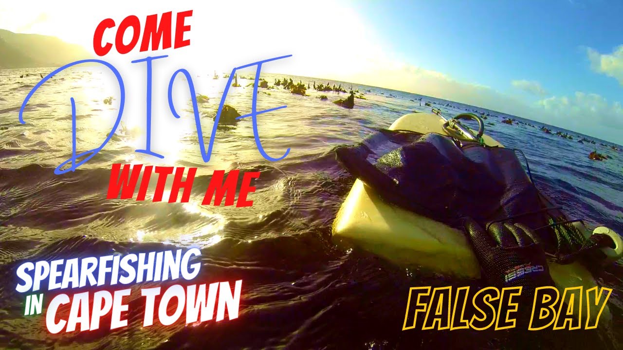 Come Spearfishing With Me On My Birthday! | Cape Town Spearfishing, False Bay