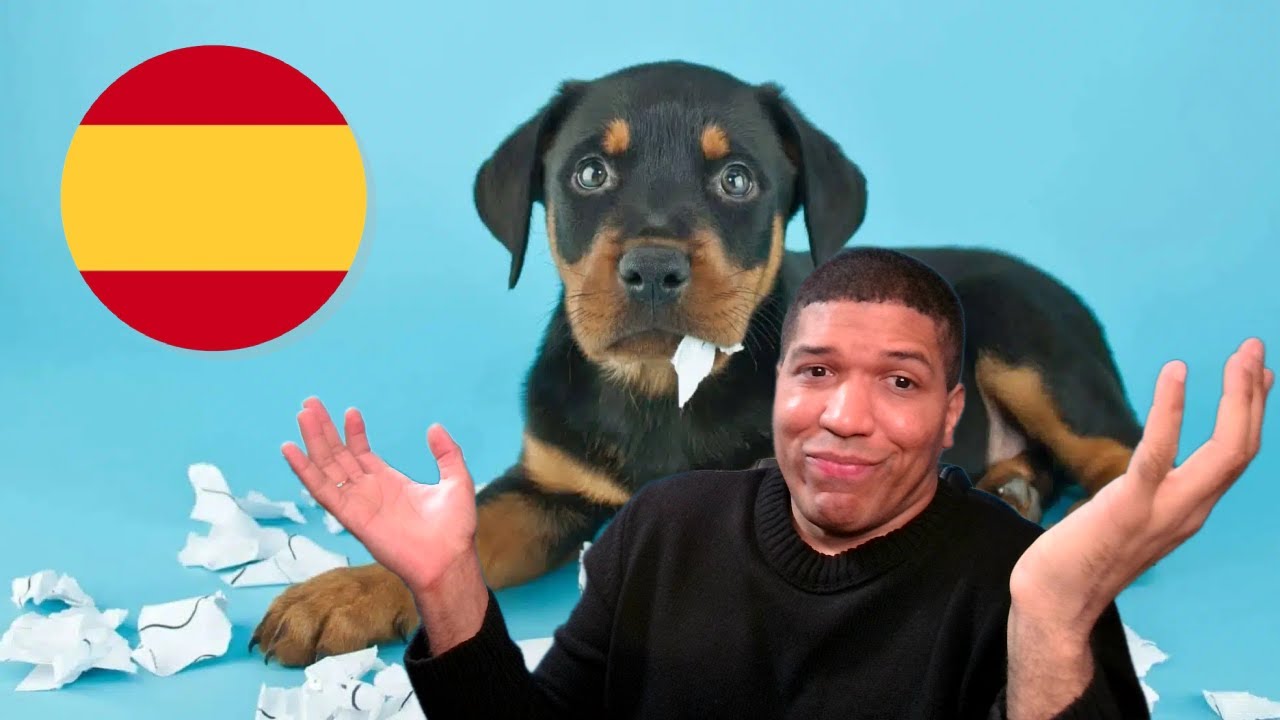 Description of the Picture in Spanish✅ Can you describe these Photos? Lesson 2 🔥