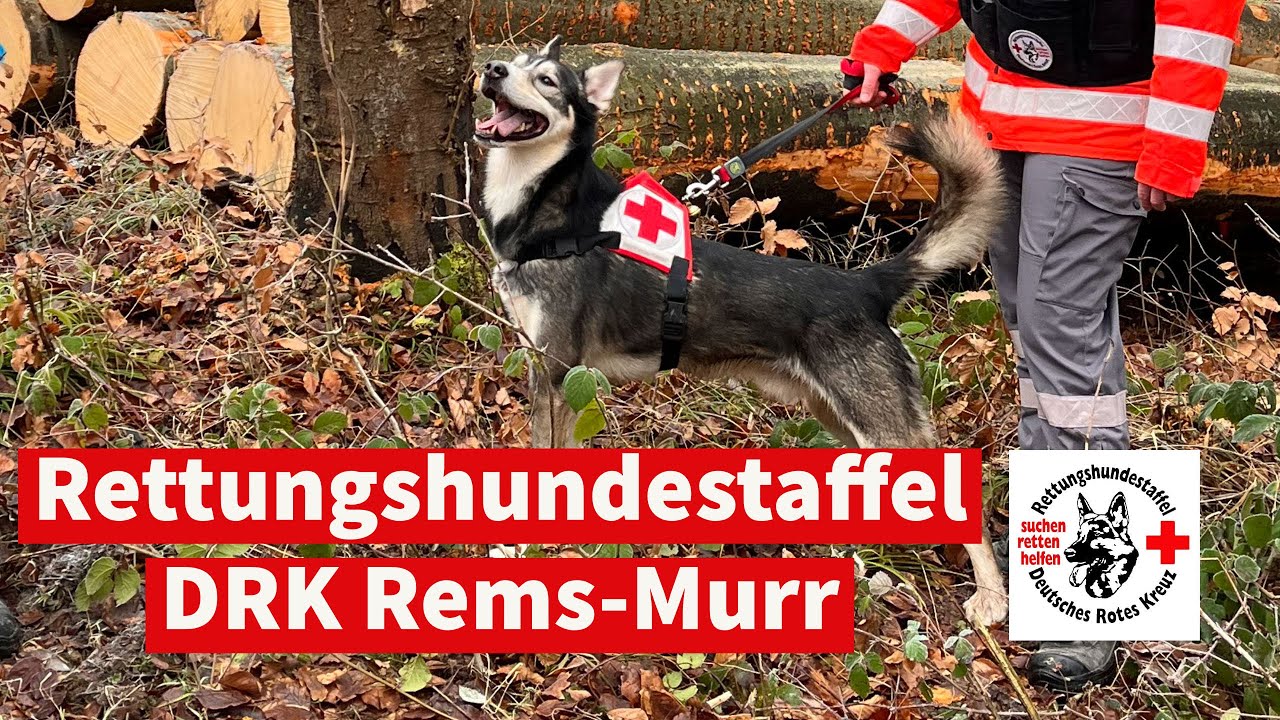 DRK-Rettungshundestaffel Kernen
