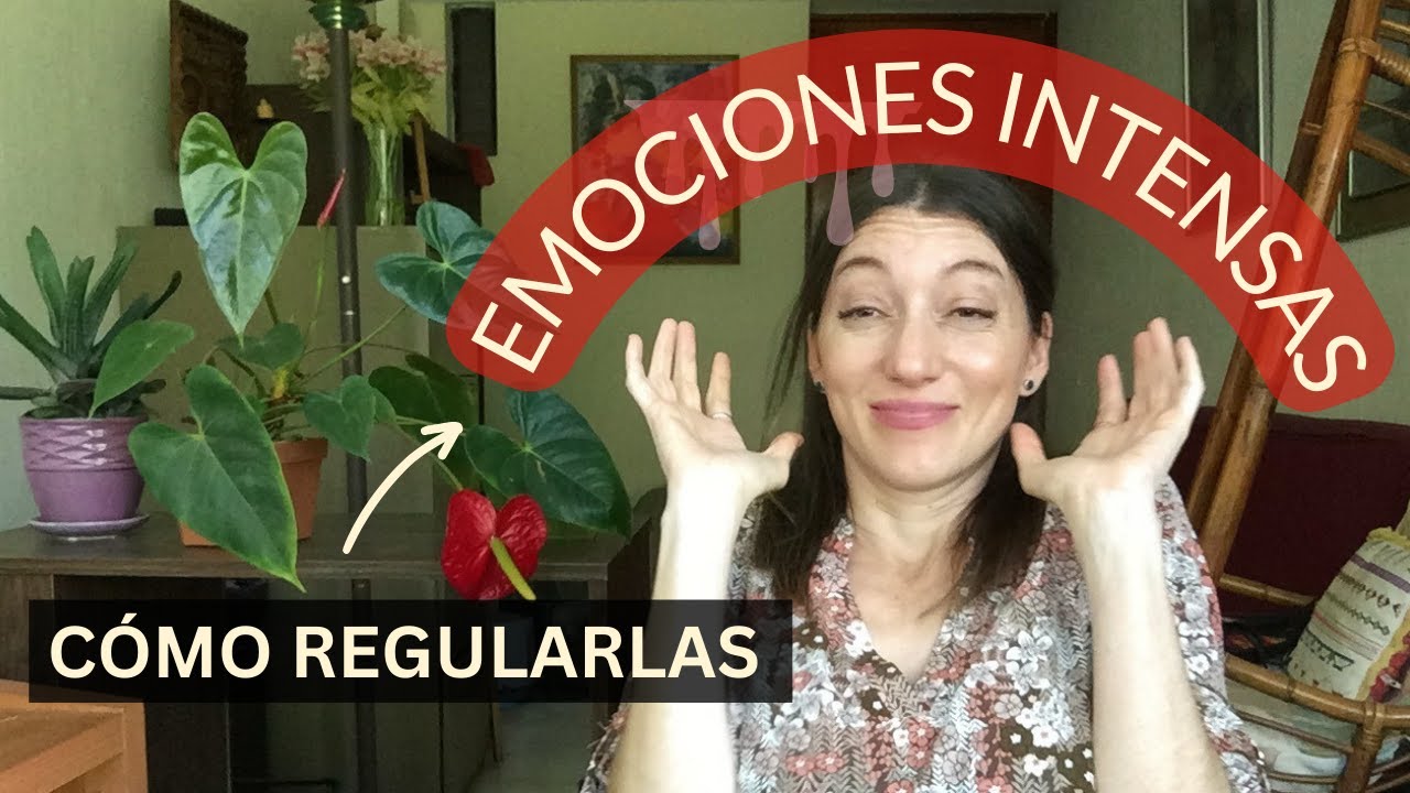 Abrumado y con emociones intensas: La Desregulación Emocional I Qué es y cómo manejarlas