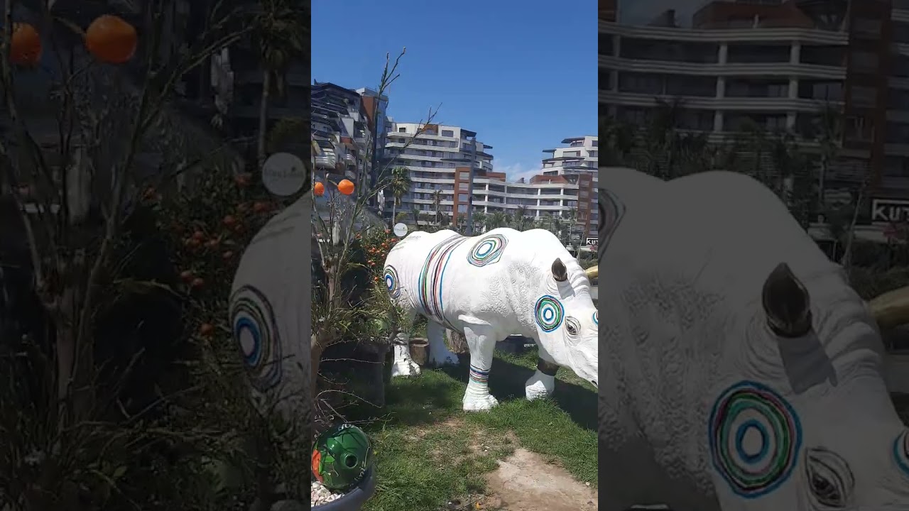  16 марта 2023 г.анталия