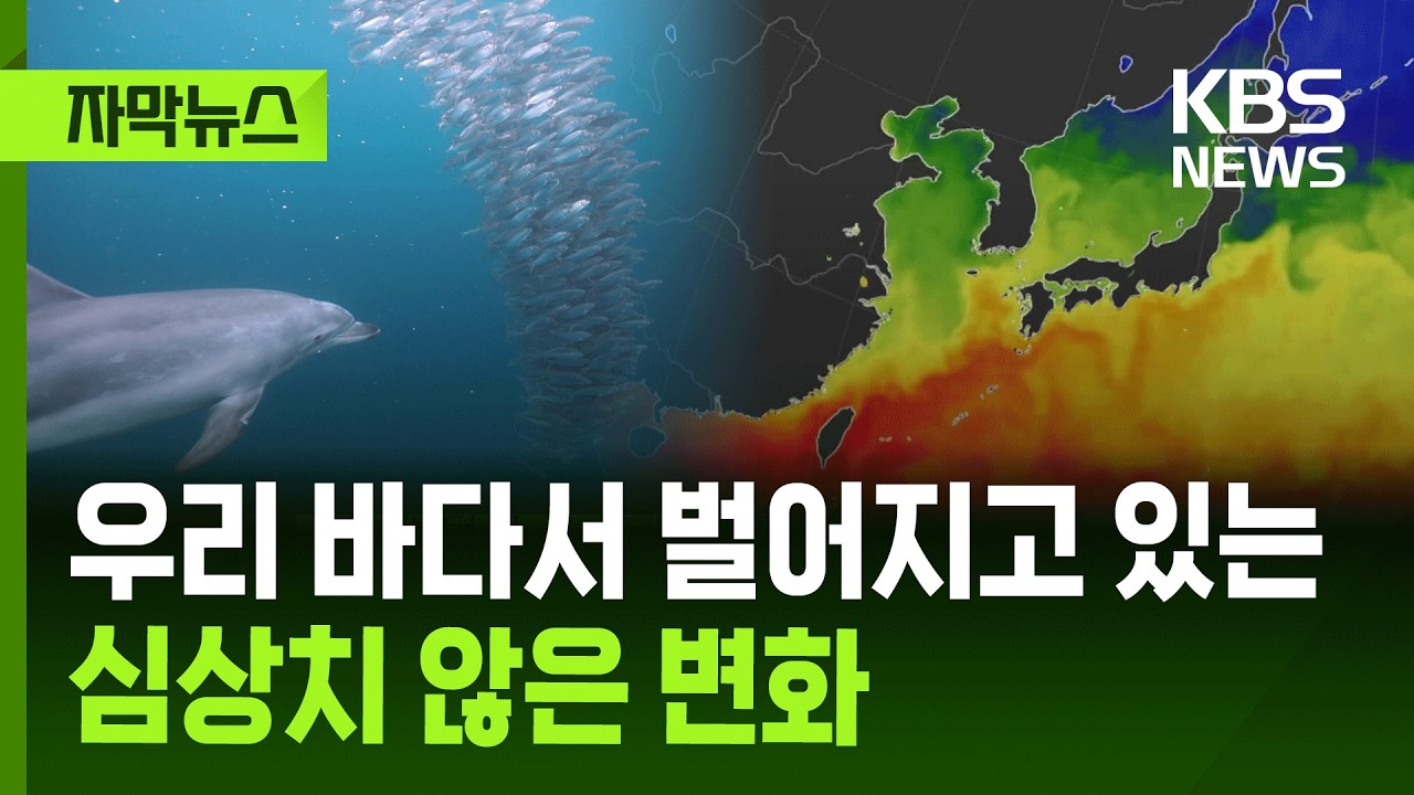 [자막뉴스] 우리 바다서 벌어지고 있는 심상치 않은 변화 / KBS 2026.04.16.