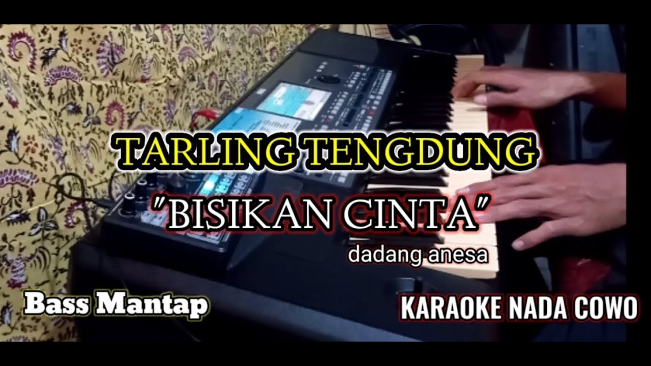 BISIKAN CINTA TENGDUNG KARAOKE NADA COWO