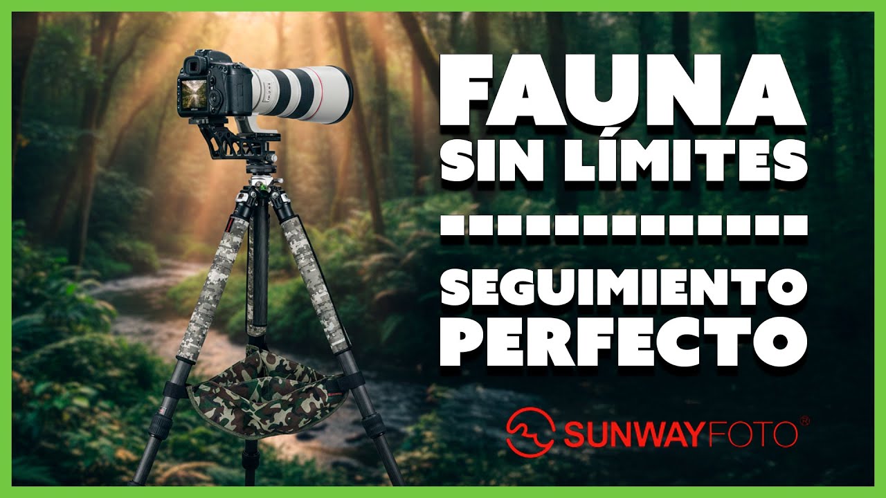 La RÓTULA GIMBAL DEFINITIVA para FAUNA (Sunwayfoto GH-04) 🦅 | Montaje y Contrapeso PERFECTO