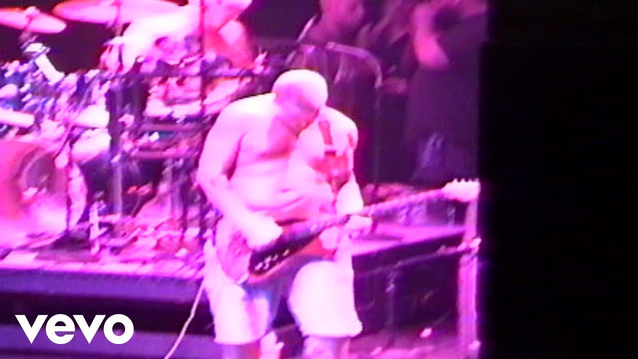 Sublime - 40 Oz. To Freedom (Live At The Palace/1995)