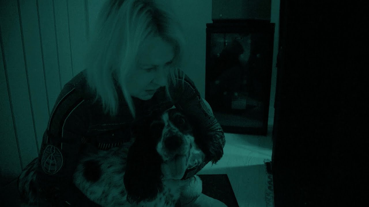 The night vision test - Cats v Dogs: Which is Best? Episode 1 Preview - BBC