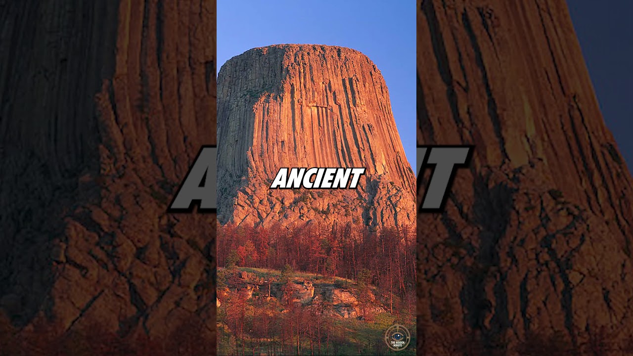 Is Devils Tower a Giant Petrified Tree? 🌲🗿 