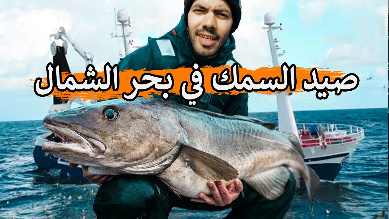 صيد السمك في أخطر بحار العالم - بحر الشمال / مع صياد هولاندي