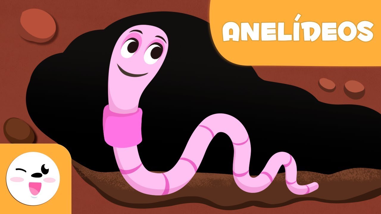 Minhoca e sanguessuga - Os anel&iacute;deos para crian&ccedil;as  - Animais invertebrados - Ci&ecirc;ncias para crian&ccedil;as