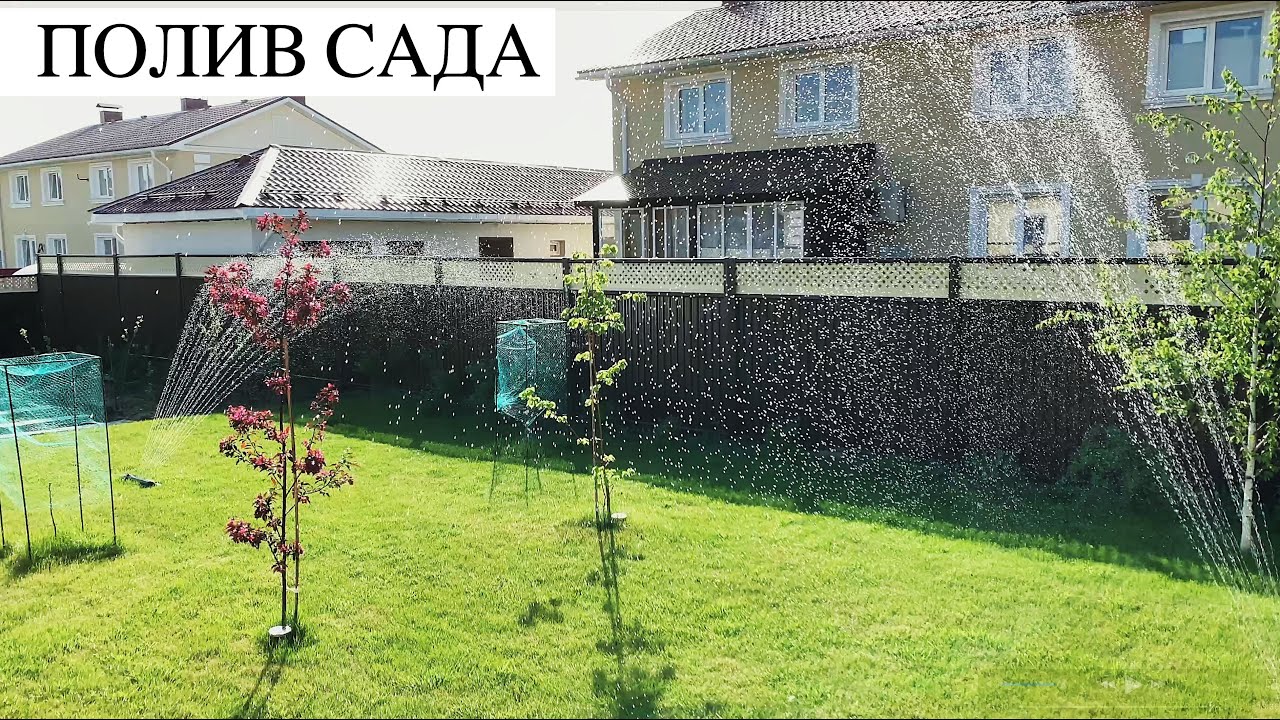 Поливаем огород Дождеватель СИСТЕМА ПОЛИВА GARDENA Выбираем системы полива и насос для дачи