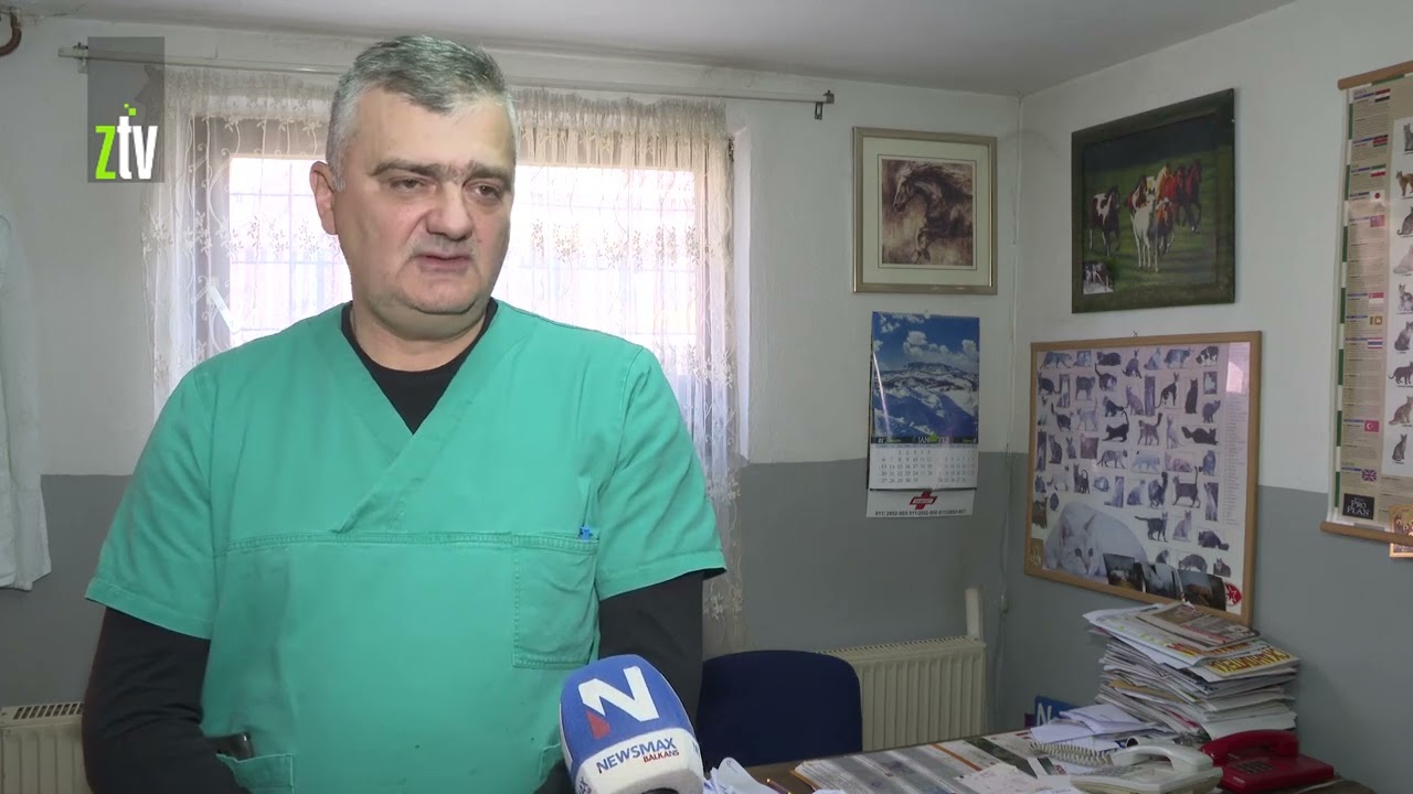 Vukovi silaze u naseljenja mesta