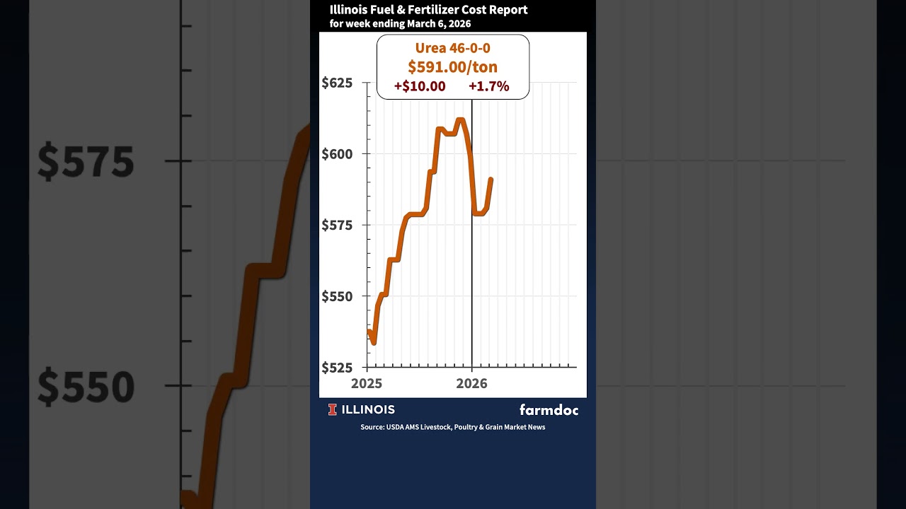 Отчет о стоимости топлива и удобрений в штате Иллинойс за 6 марта 2026 г. - Мобильная версия