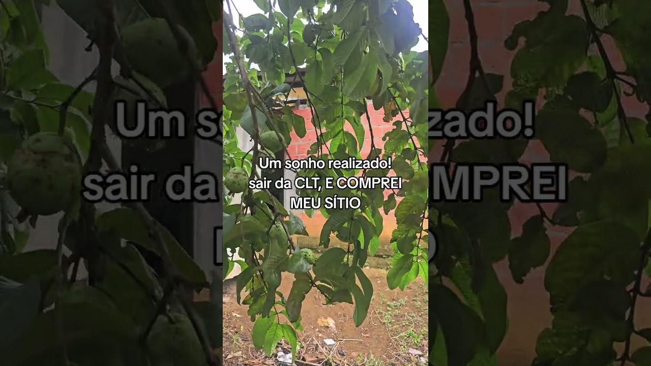 Sonho realizado! Comprei meu sitio.