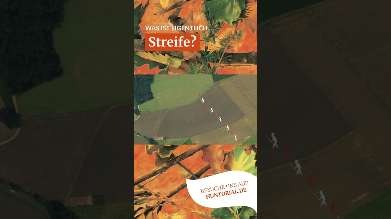 🎯Die einfache Streife &ndash; Treibjagd auf Niederwild🐇