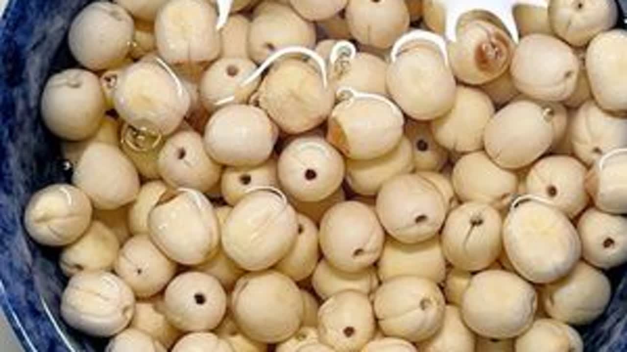 自制万能「莲蓉馅」月饼馅口感细腻，延展性好，详细教程！ #我的厨房日记 #日常vlog #烘焙人的日常 #宅家美食日记 #烘焙新手