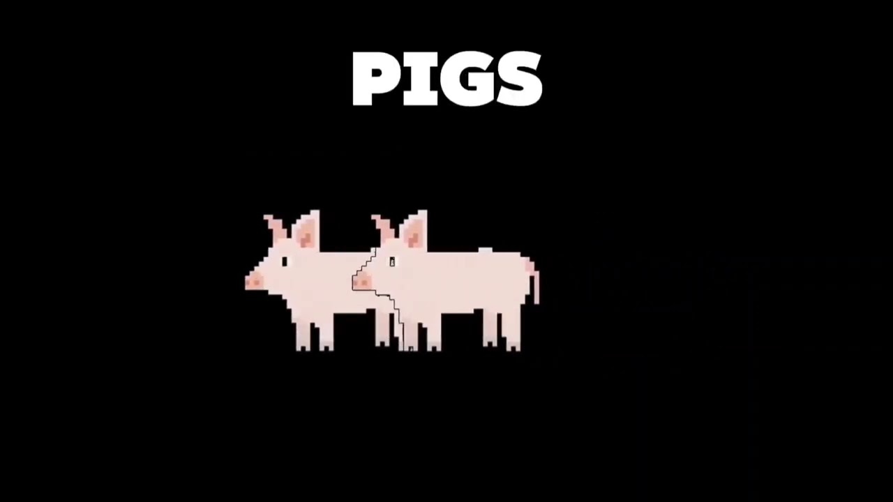Learn ABC'S - Real Animal alphabet the kids picture show