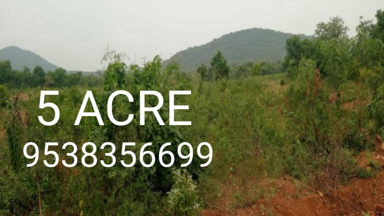 Xi) 5 ACRE | GLORIOUS FARMLAND'S TO CREATE A LEGACY | HILL VIEW | CALL@9538356699