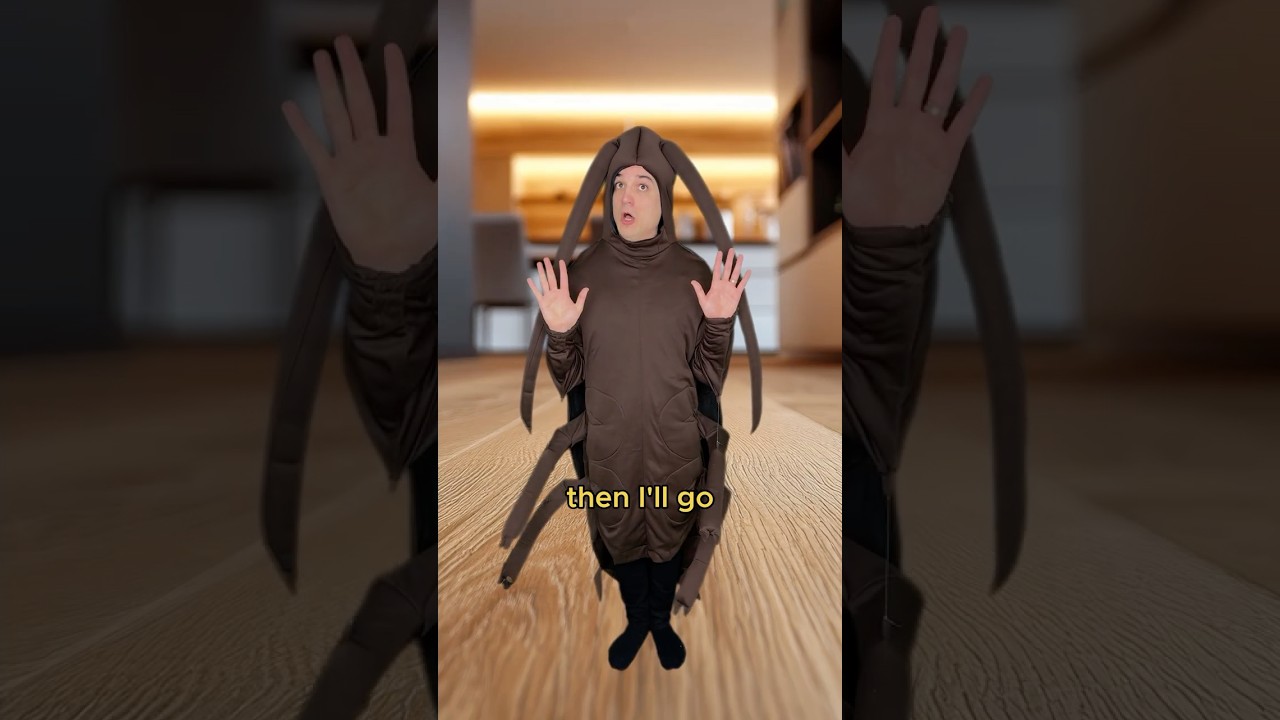 Cockroach makes a deal #comedy #music #parody of Take Me Out by Franz Ferdinand