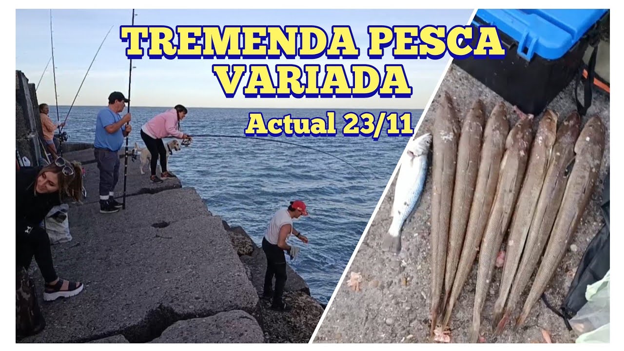 QUE MANERA  DE PESCAR! UN PIQUE ATRAS DEL OTRO! PESCA VARIADA ACTUAL