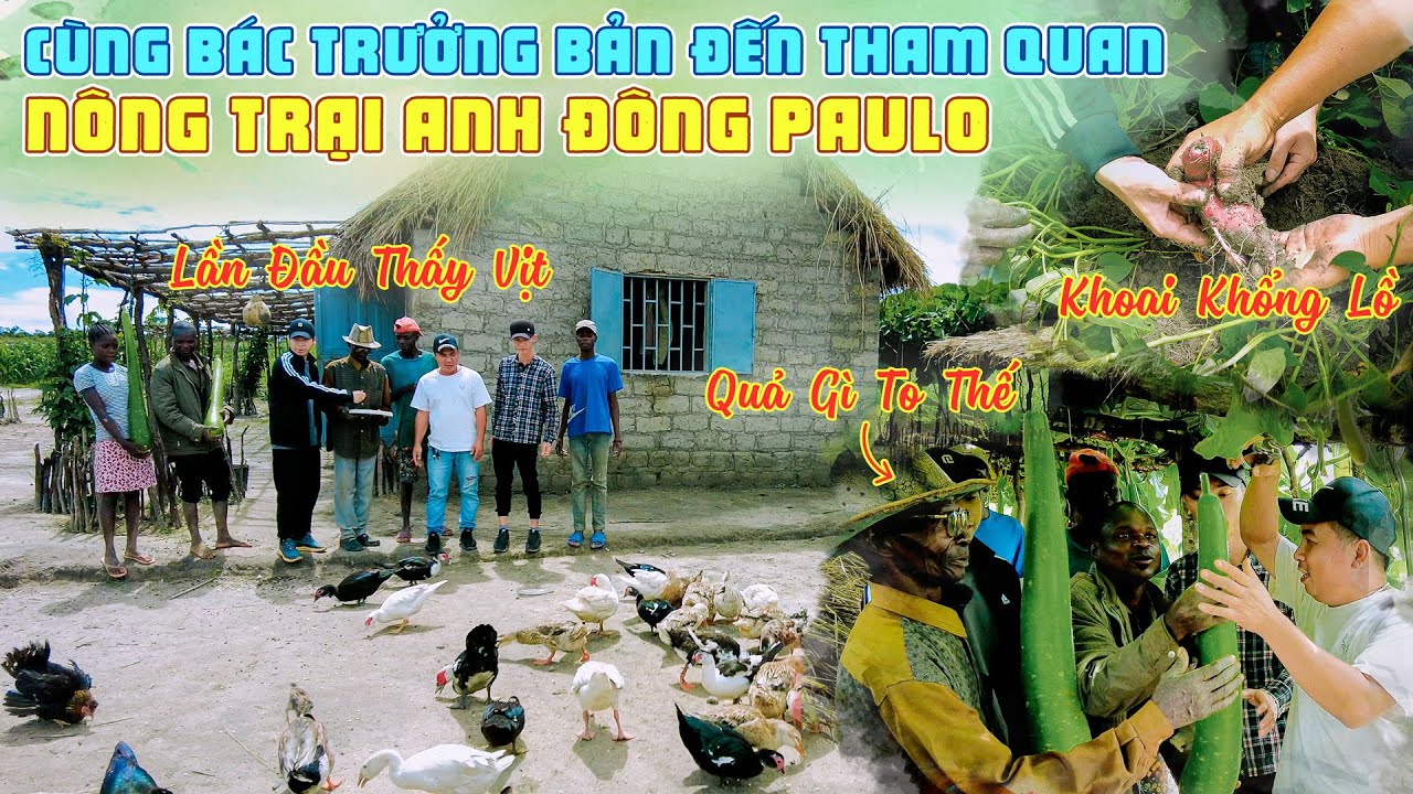 Bác Trưởng Bản Lần Đầu Tiên Nhìn Thấy Vịt Tại Nông Trại Anh Đông Paulo
