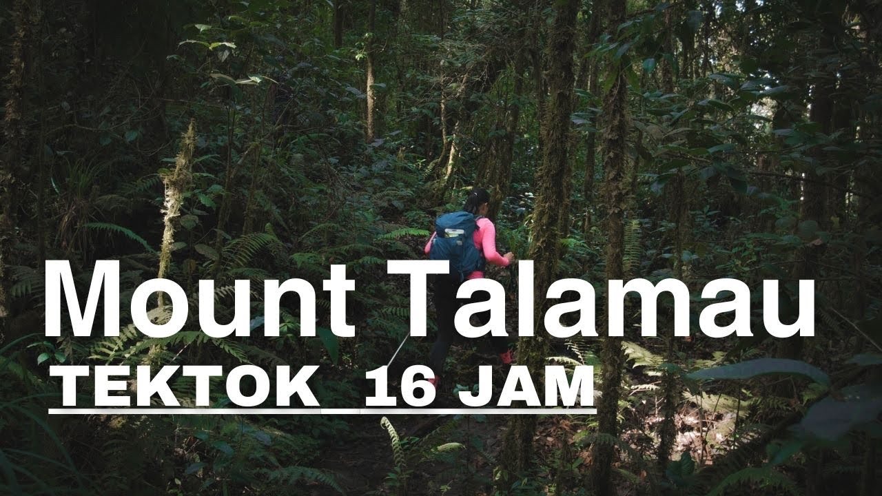 Tektok Gunung Talamau via Lubuak Landua