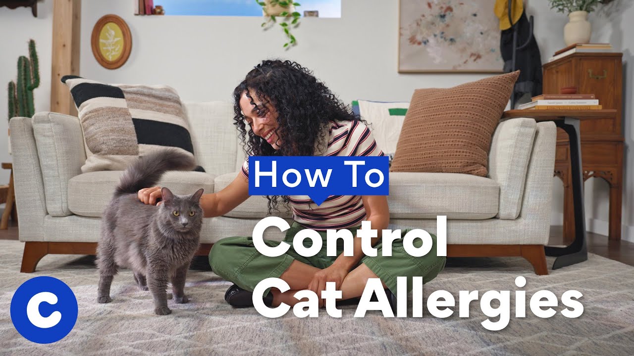How To Control Your Cat Allergy Symptoms