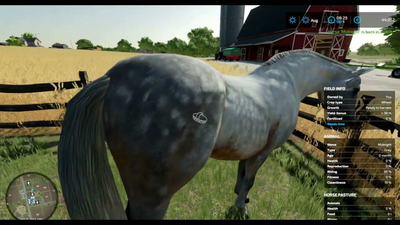 First Person Horse Riding Camera/Mod Review/Farming Simulator 22