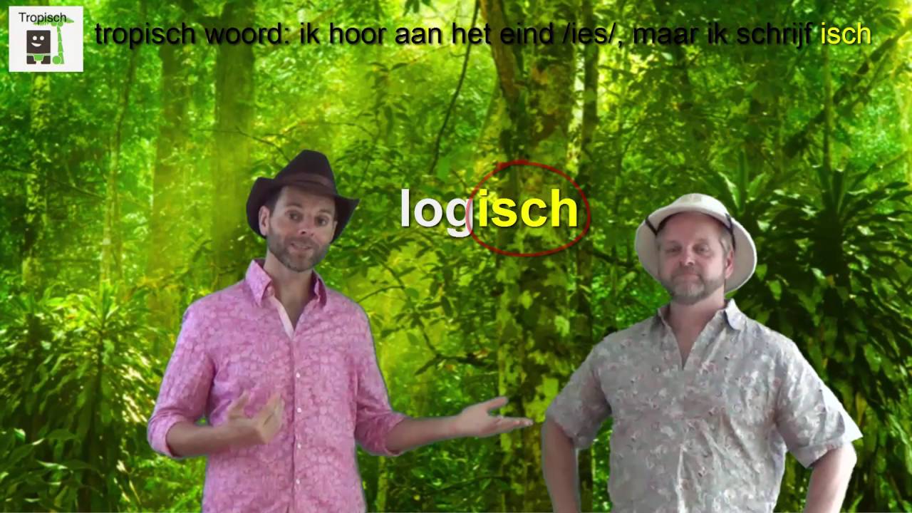 Staal categorie 19: tropischwoord