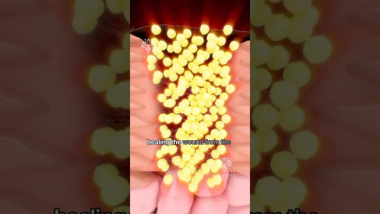 How Do Scabs Form to Heal Wounds 😮 #shorts #skin - Creativelearning3d