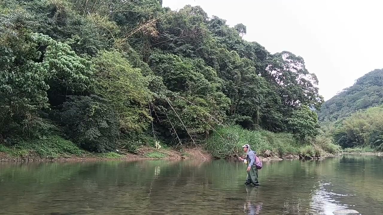 景美溪秘境五魚的拉力