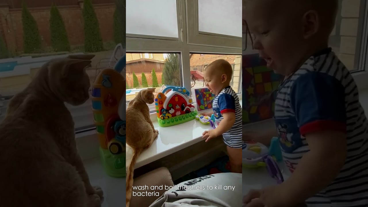 Life-Saving Cat Hack: The Eggshell Secret