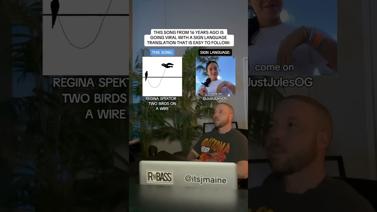 This Song From 16 Years Ago Is Going Viral & It Has A Sign Language Trend &ldquo;Two Birds&rdquo; #shorts
