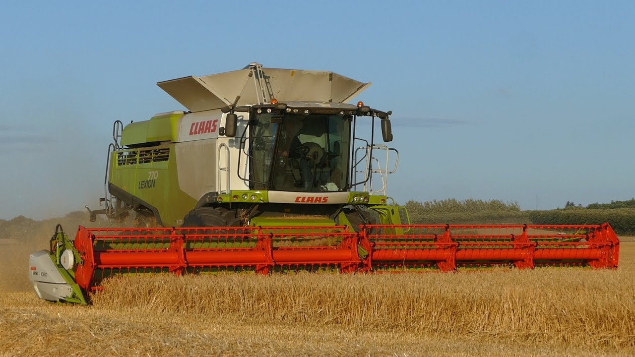 Claas Lexion 770 Working Hard in The Field Threshing Barley | Fendt 930 w/ Tippers | DK Agriculture