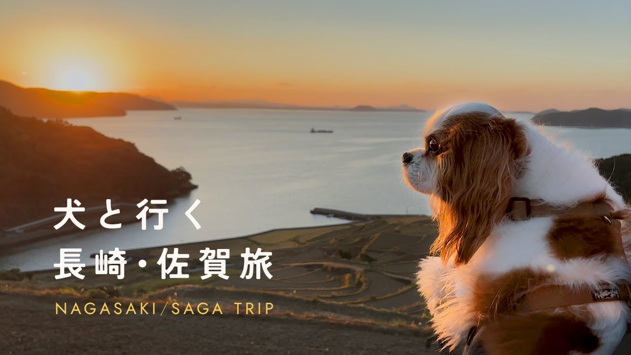 Мозги Нагасаки | Путешествие к керамике Ариты [Влог о поездке в Нагасаки и Сагу]