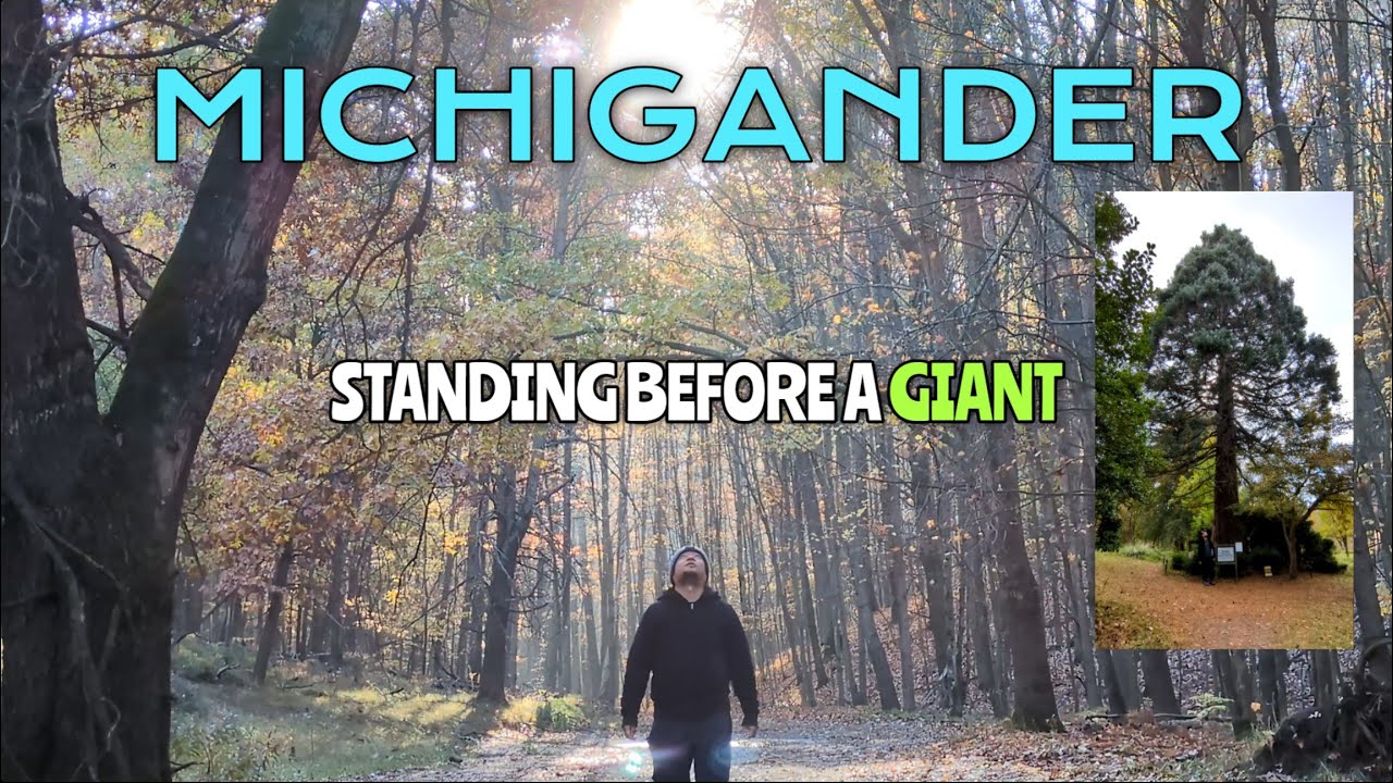 Michigander Ep. 7 | Deer at Dawn & Michigan’s Giant Sequoia | Stay Alive