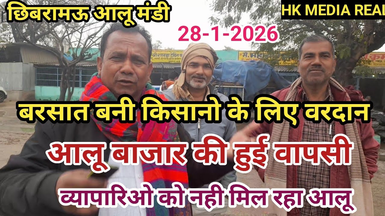 28-1-2026- मौसम हुआ मेहरबान, आलू बाजार हुए टाइट, आवक कम व्यापारिओ को नही मिल रहा आलू छिबरामऊ 