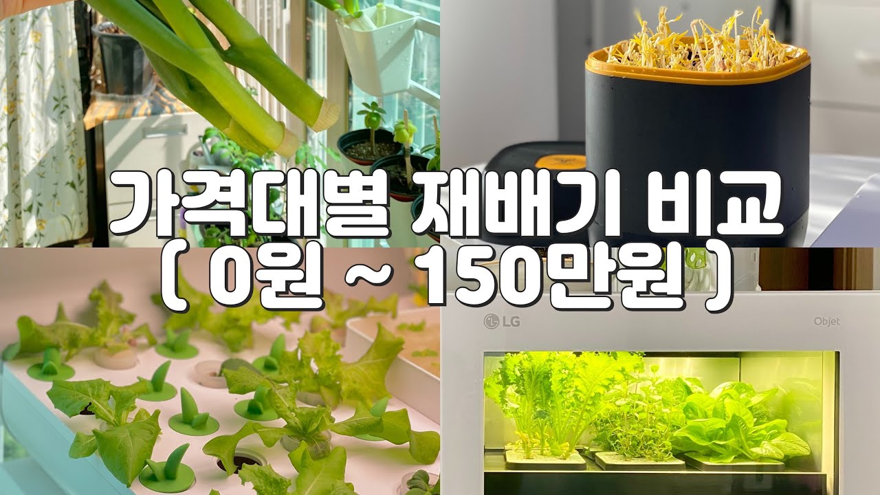 식물재배기 금액대별 추천(LG틔운, 이나프, 콩나물재배기, 파테크)