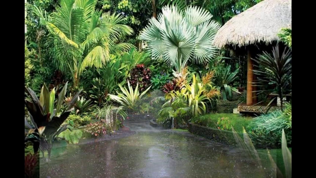 Ideas para jardines tropicales