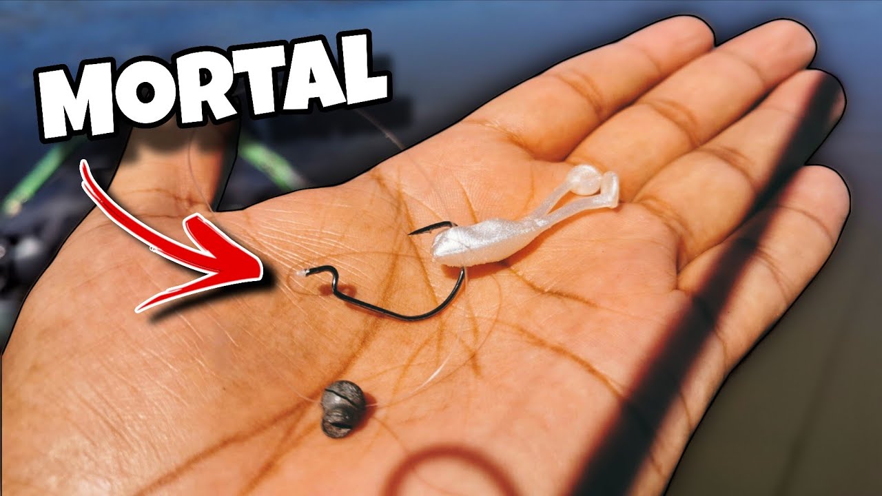 Pesca con RENACUAJO entre vegetación, no creerás lo efectivo que es 